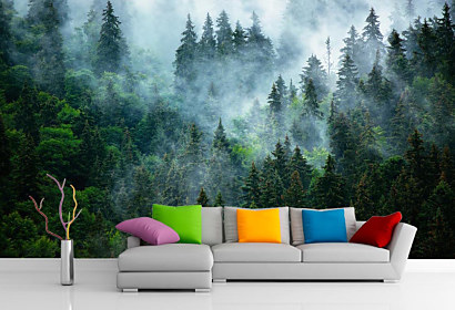 Fototapeta Morning mist 